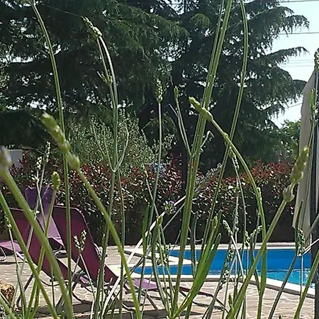 Nina * Poreč